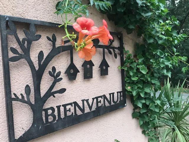 B&B Les Muscades Saint-Étienne-du-Grès エクステリア 写真