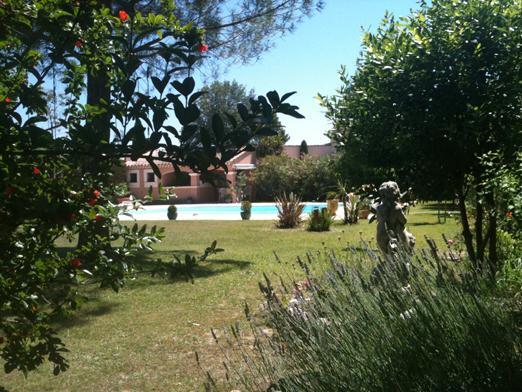 B&B Les Muscades Saint-Étienne-du-Grès 部屋 写真